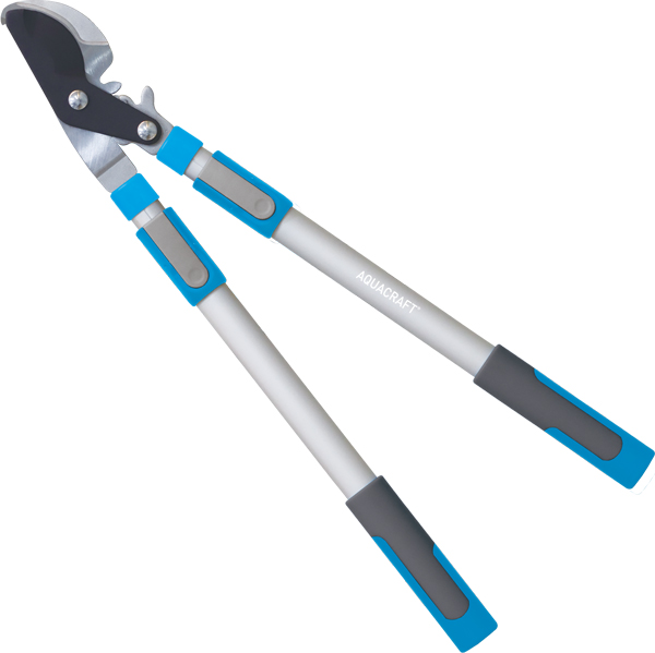 Telescopic anvil pruner with geared power boost